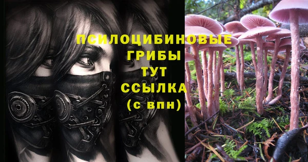 молекула духа Армянск