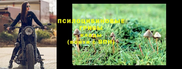 Альфа ПВП Арсеньев